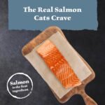 Blue Buffalo Wilderness with Salmon Natural High-Protein Grain-Free Dry Food for Adult Cats, Real Salmon First, Antioxidant-Rich LifeSource Bits Support Immunity, Promotes Strong Muscles,11 lbs. - Image 5