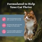 Blue Buffalo Wilderness with Salmon Natural High-Protein Grain-Free Dry Food for Adult Cats, Real Salmon First, Antioxidant-Rich LifeSource Bits Support Immunity, Promotes Strong Muscles,11 lbs. - Image 6