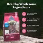Blue Buffalo Wilderness with Salmon Natural High-Protein Grain-Free Dry Food for Adult Cats, Real Salmon First, Antioxidant-Rich LifeSource Bits Support Immunity, Promotes Strong Muscles,11 lbs. - Image 7