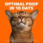 IAMS Proactive Health Senior Dry Cat Food, Chicken Flavour, 3.18kg | Real Chicken 1st Ingredient, no fillers, Vitamin E immune support, taurine for heart health, grain free - Image 3