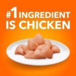 IAMS Proactive Health Senior Dry Cat Food, Chicken Flavour, 3.18kg | Real Chicken 1st Ingredient, no fillers, Vitamin E immune support, taurine for heart health, grain free - Image 5