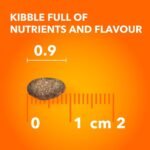 IAMS Proactive Health Senior Dry Cat Food, Chicken Flavour, 3.18kg | Real Chicken 1st Ingredient, no fillers, Vitamin E immune support, taurine for heart health, grain free - Image 10