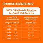 IAMS Proactive Health Senior Dry Cat Food, Chicken Flavour, 3.18kg | Real Chicken 1st Ingredient, no fillers, Vitamin E immune support, taurine for heart health, grain free - Image 14
