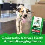 Greenies Dental Treats Adult Dog, 170 G | Vitamin E immune support, calcium for bones, oral care daily, vet-recommended, natural ingredients, no artificial flavours - Image 4