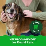 Greenies Dental Treats Adult Dog, 170 G | Vitamin E immune support, calcium for bones, oral care daily, vet-recommended, natural ingredients, no artificial flavours - Image 10