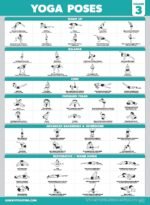 Palace Learning 4 Pack - yoga Poses Poster Volume 1, 2 & 3 + yoga Positions with Blocks - Beginner Position Exercise Charts - English and Sanskrit Names - Image 7