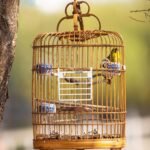 4PCS Birdcage Door Pet Replacement - Durable Plastic White Pigeon Cage Doors with Self-Closing Springs for Bird Aviaries & Pet Cages - Image 7