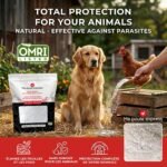A Proudly Canadian Company, 500 G / 1.1 LB All Natural, Organic Food Grade Diatomaceous Earth Powder, Enriched Fossil Powder by Ma Poule Express - Image 3